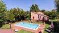 Rolling Hills Italy - Vendesi deliziosa proprietà con piscina a Cortona, Toscana.