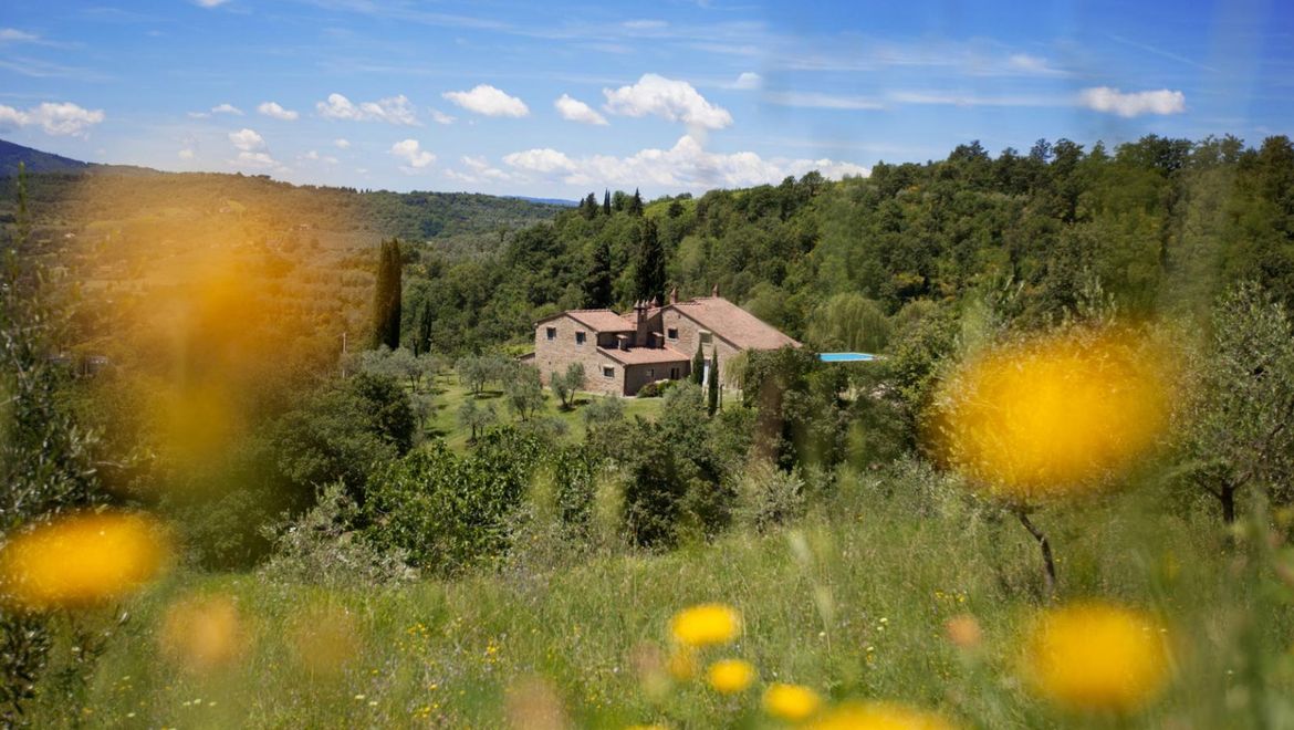 Rolling Hills Italy - Vendesi azienda agricola con 40 ettari di terreno ad Arezzo.