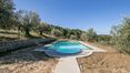 Rolling Hills Italy - Holiday-farm with pool for sale near Perugia