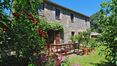 Rolling Hills Italy - Restored country house in Orvieto