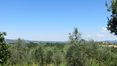 Rolling Hills Italy - Farmhouse to restore for sale in Tuscany