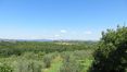 Rolling Hills Italy -  Vente ferme à restaurer en Toscane