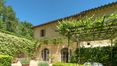 Rolling Hills Italy - Vieux moulin à vendre à San Gimignano en Toscane.