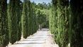 Rolling Hills Italy - For sale wonderful farmhouse in Monterchi, Tuscany.