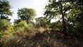 Rolling Hills Italy - For sale wonderful farmhouse in Monterchi, Tuscany.