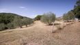 Rolling Hills Italy - For sale wonderful farmhouse in Monterchi, Tuscany.