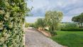 Rolling Hills Italy - Vendesi bellissima villa nel cuore delle campagne fiorentine