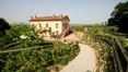 Rolling Hills Italy - For sale a lovely farmhouse in Montepulciano, Tuscany.