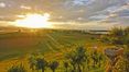 Rolling Hills Italy - Elegante villa con piscina a Castiglione del Lago, Umbria.