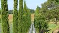 Rolling Hills Italy - Elegant villa with pool in Castiglione del Lago, Umbria.