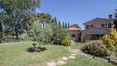 Rolling Hills Italy - Lovely stone house with pool in Castiglione del Lago, Umbria