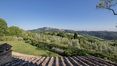 Rolling Hills Italy - Historic farmhouse with pool in Montepulciano, Siena.