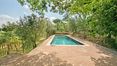 Rolling Hills Italy - Bellissimo casale intonacato con piscina a Città di Castello