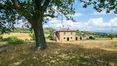 Rolling Hills Italy - Semi renovated farmhouse with views of Montepulciano.