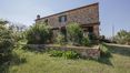 Rolling Hills Italy - Farm for sale in Asciano, Siena.