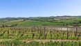 Rolling Hills Italy - Vendesi azienda vitivinicola e agriturismo nel Chianti.