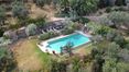 Rolling Hills Italy - Ferme avec piscine à débordement à Cortona, en Toscane.