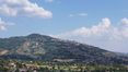 Rolling Hills Italy - Rustico casale con piscina a sfioro a Cortona, Toscana.