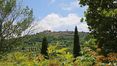 Rolling Hills Italy - Vendesi incantevole casale con vista su Montepulciano, Siena