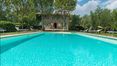 Rolling Hills Italy - Vendesi splendido casale con dépendance e piscina a Cortona.