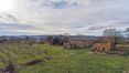 Rolling Hills Italy - A vendre ferme à restaurer à Monte San Savino, Arezzo.