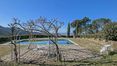Rolling Hills Italy - Vente ferme toscane avec piscine et vue magnifique.
