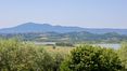 Rolling Hills Italy - Porzione vista lago a Castiglione del Lago, Umbria.