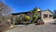 Rolling Hills Italy - Charming farmhouse for sale in Val d'Orcia