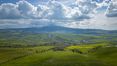 Rolling Hills Italy -