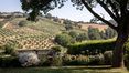 Rolling Hills Italy - Vendesi incantevole tenuta a Manciano