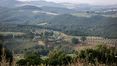 Rolling Hills Italy - Charming farm for sale in Manciano