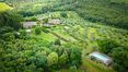 Rolling Hills Italy - À vendre fabuleux domaine avec piscine au cœur du Chianti.