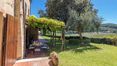 Rolling Hills Italy - Exclusive renovated farmhouse with pool in Montepulciano.