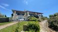 Rolling Hills Italy - Charmante villa à vendre à Pescia Romana avec piscine
