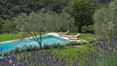 Rolling Hills Italy - Gorgeous estate with pool for sale in Radda in Chianti.