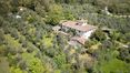 Rolling Hills Italy - Wunderschöne Villa mit Schwimmbad in den Hügeln von Florenz.