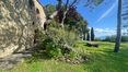 Rolling Hills Italy - Magnifique ferme en pierre à vendre à Pienza