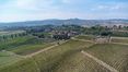 Rolling Hills Italy - Zu verkaufen: Weingut bei Montepulciano, Siena.