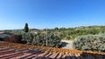 Rolling Hills Italy - For Sale: Winery Business Near Montepulciano, Siena.