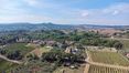 Rolling Hills Italy - Vendesi azienda vitivinicola a pochi passi da Montepulciano.