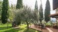 Rolling Hills Italy - Splendide ferme avec piscine, annexe et oliveraie.