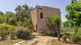 Rolling Hills Italy - Affascinante residenza in Maremma