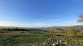 Rolling Hills Italy - Panoramica proprietà da ristrutturare in Val d’Orcia