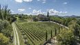 Rolling Hills Italy -