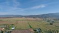 Rolling Hills Italy - Appartamento moderno in complesso residenziale a Cortona.