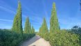 Rolling Hills Italy - Appartamento moderno in complesso residenziale a Cortona.