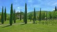 Rolling Hills Italy - Vendesi splendida proprietà con piscina a Cortona, Arezzo.