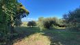 Rolling Hills Italy - Zu verkaufen: Einfamilienhaus in der Nähe von Montepulciano.