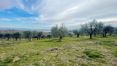 Rolling Hills Italy -