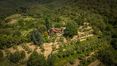 Rolling Hills Italy - Schönes Bauernhaus mit Schwimmbad zu verkaufen in Loro Ciuff